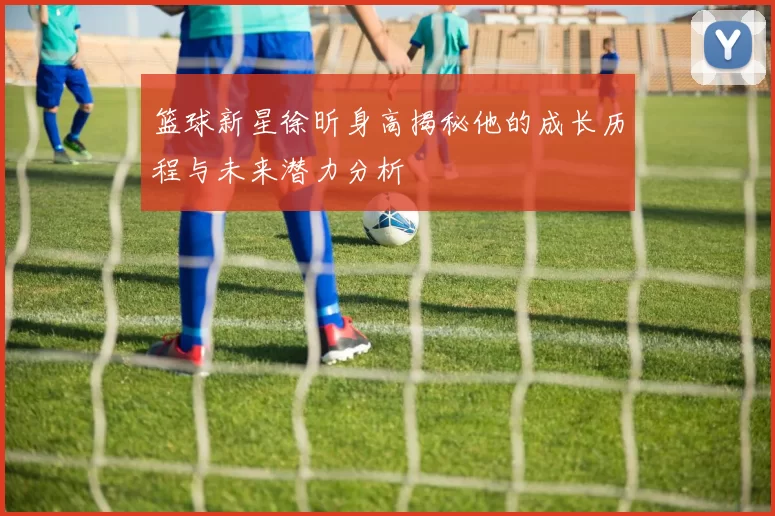 篮球新星徐昕身高揭秘他的成长历程与未来潜力分析