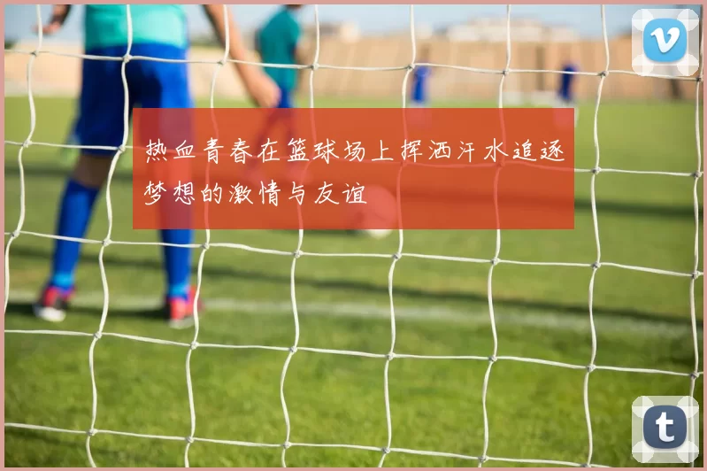 热血青春在篮球场上挥洒汗水追逐梦想的激情与友谊