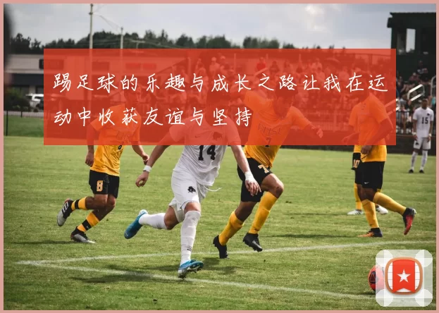 踢足球的乐趣与成长之路让我在运动中收获友谊与坚持