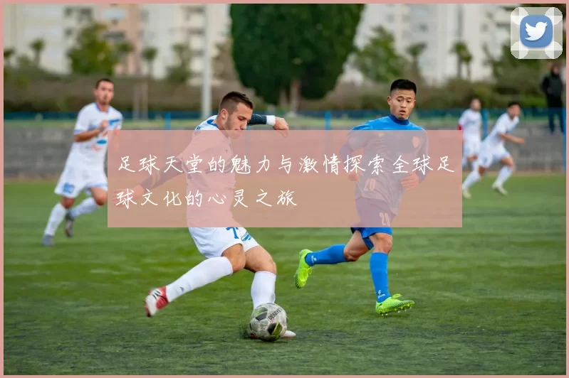 足球天堂的魅力与激情探索全球足球文化的心灵之旅
